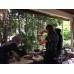 Nasi Lemak Cooking Workshop
